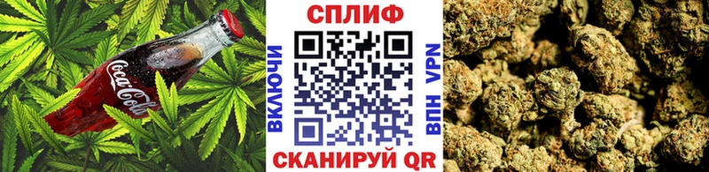 Cannafood марихуана  Нижнеудинск 