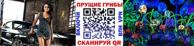 kraken вход  Нижнеудинск  Псилоцибиновые грибы мухоморы 