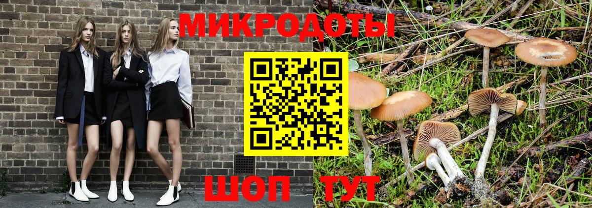 Нижнеудинск  Галлюциногенные грибы MAGIC MUSHROOMS  Вход с VPN 